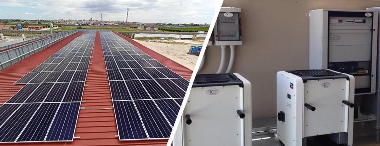 L`ortofrutta F.lli Dellerma – Puglia