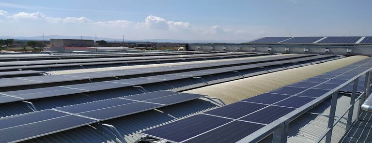 SMA Italia e Cooperativa Agricola O.P. Natura Dauna: quando il potere del sole incontra una promessa di qualità