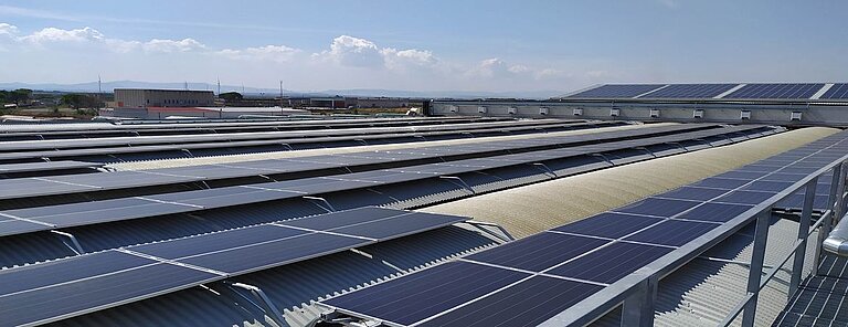 SMA Italia e Cooperativa Agricola O.P. Natura Dauna: quando il potere del sole incontra una promessa di qualità