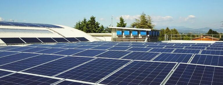 Azienda Apo - Scagliera