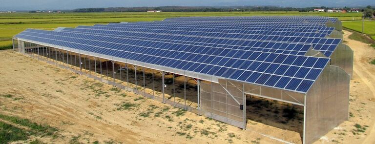 Serra Pandora - Buronzo